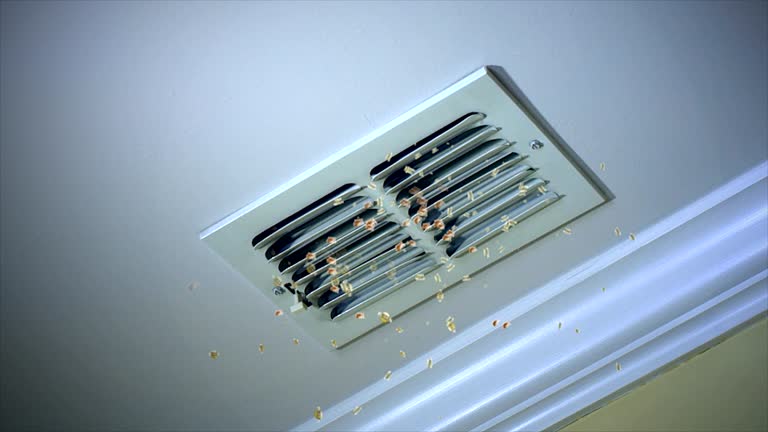 Home Air Vent Cleaning in Lilburn, GA